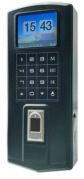 �뵼��ָ�ƻ�